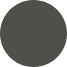 Dark grey ellipse